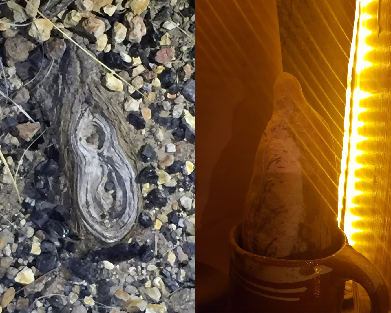 Apariciones guadalupanas